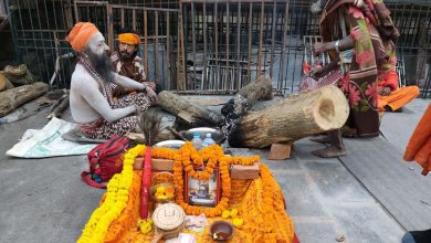 पशुपतिमा साधु तथा दर्शनार्थीको बढ्यो चहलपहल,८ लाख दर्शनार्थीले दर्शन गर्ने अनुमान