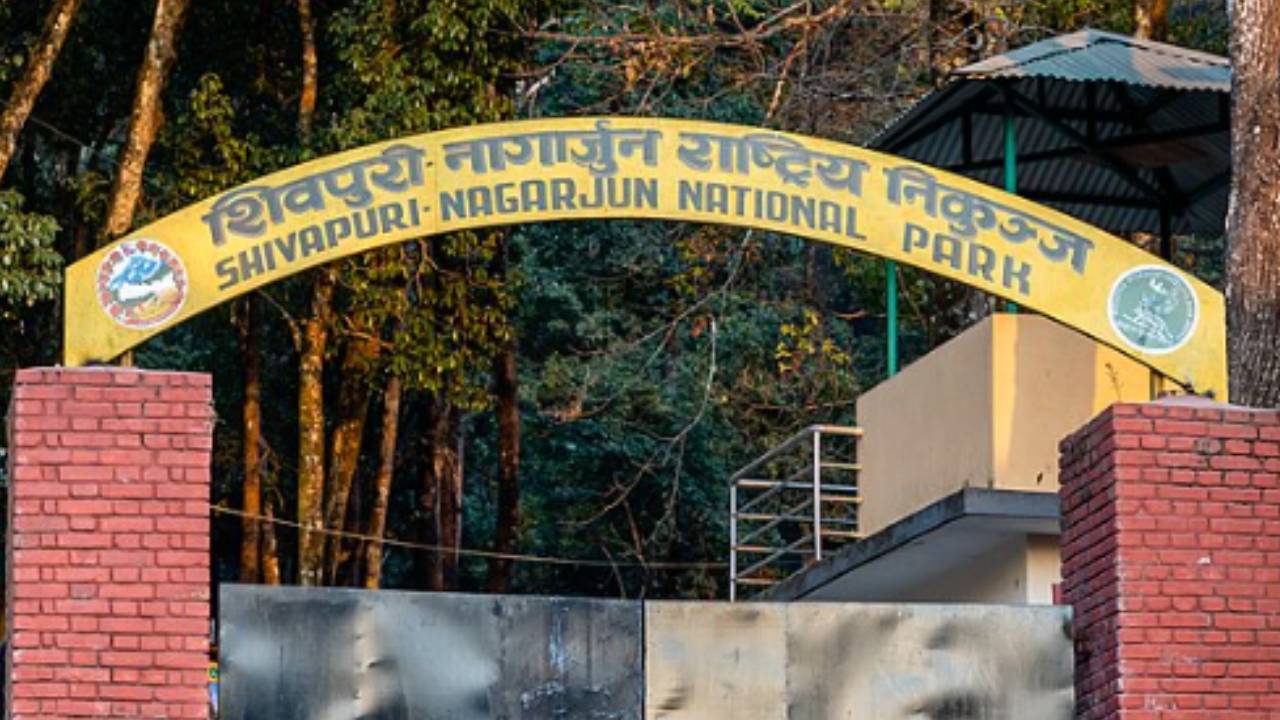शिवपुरी–नागार्जुन राष्ट्रिय निकुञ्जमा अब ई–टिकेटिङ