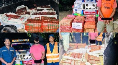 १३ किलो लागूऔषध गाँजा सहित ५० वर्षे महिला पक्राउ
